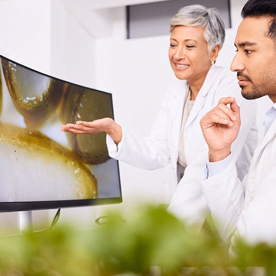 Sugar Mute-happy-users